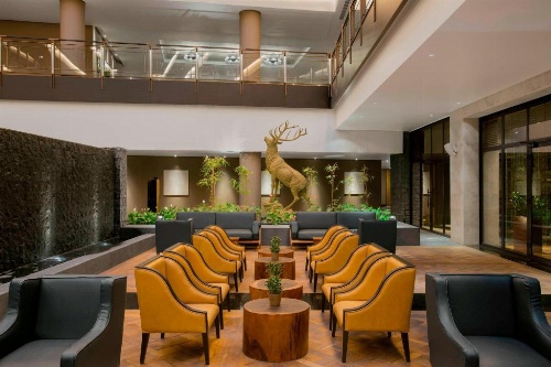 The Westin Doha Hotel and Spa image 11